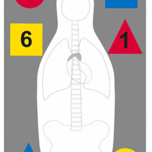 Action Target DTANTQA100 Training Multi-Purpose Silhouette Paper Hanging 23" x 35" Multi-Color 100 Per Box