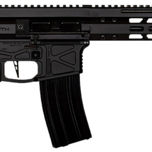 Global Ordnance LLC 197892003216 Monolithic 5.56 NATO 16" Barrel, Keymod Handguard, Modular Black Stock, Black Polymer Grip