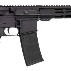 Andro Corp Industries 30016BB ACI-15 Bravo 300 Blackout 30+1 16" Black Nitride Threaded Barrel, Black Anodized Aluminum Receiver w/Picatinny Rail, M-LOK Handguard, M4 Black Polymer Stock, Black A2 Gri